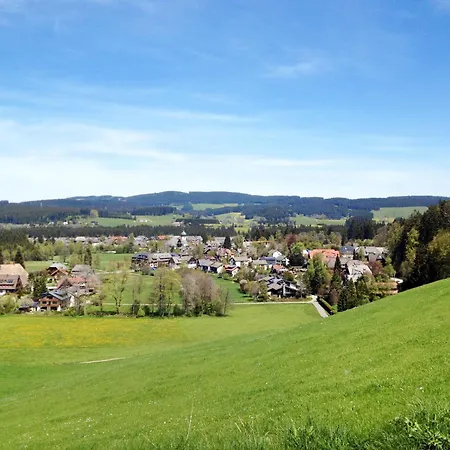 Apartment Baden-baden By Interhome Hinterzarten